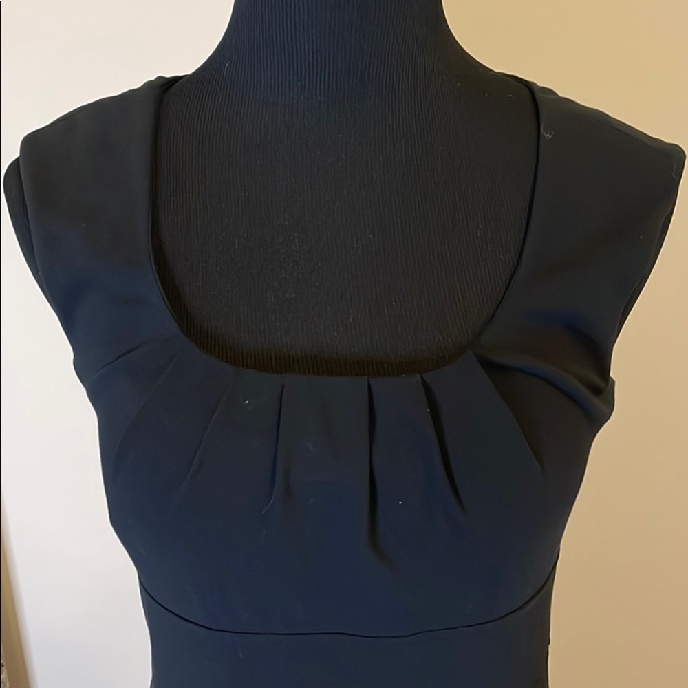 WHBM sz 4 sleeveless dress w/leopard print lining